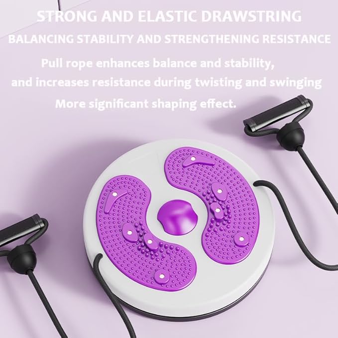 Ab Twist Waist Disc Board