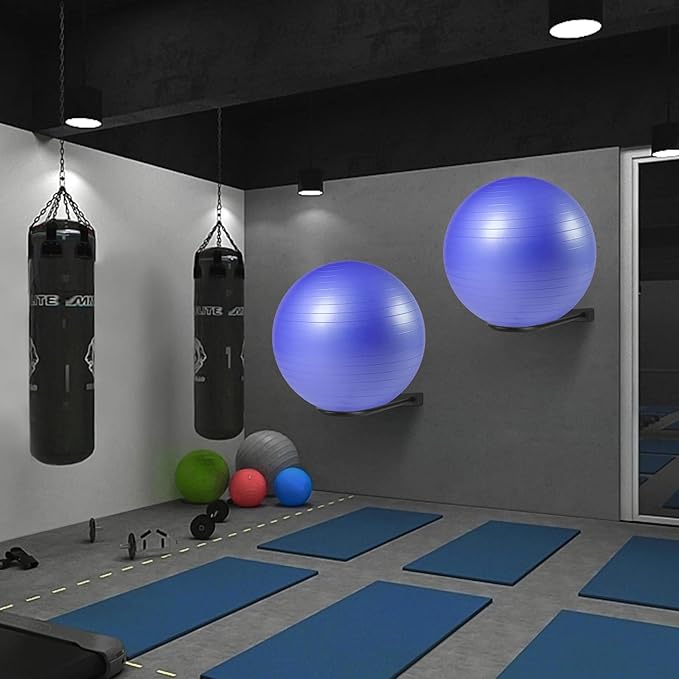 Medicine Ball RackWall Mounted Large Stability Ball Storage Organizer(1 Black)