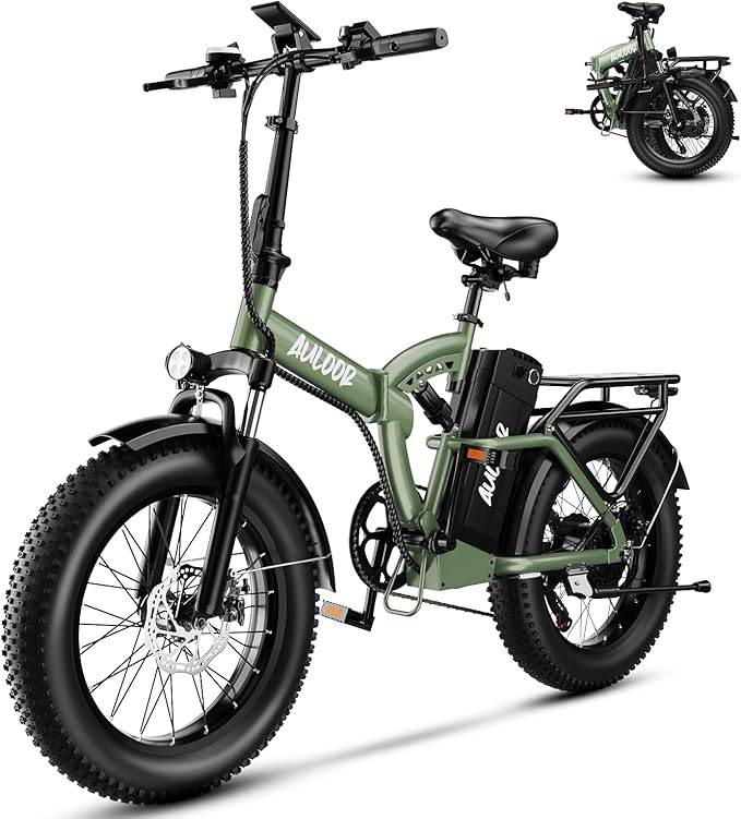 1000W Folding Electric Bike, 48V 20AH Large Removable Battery E Bike,30+MPH, 80 Miles Max Range, 20" Fat TireElectric Bike for Adults, Adult Electric Bicycles for CommuteBeach Snow