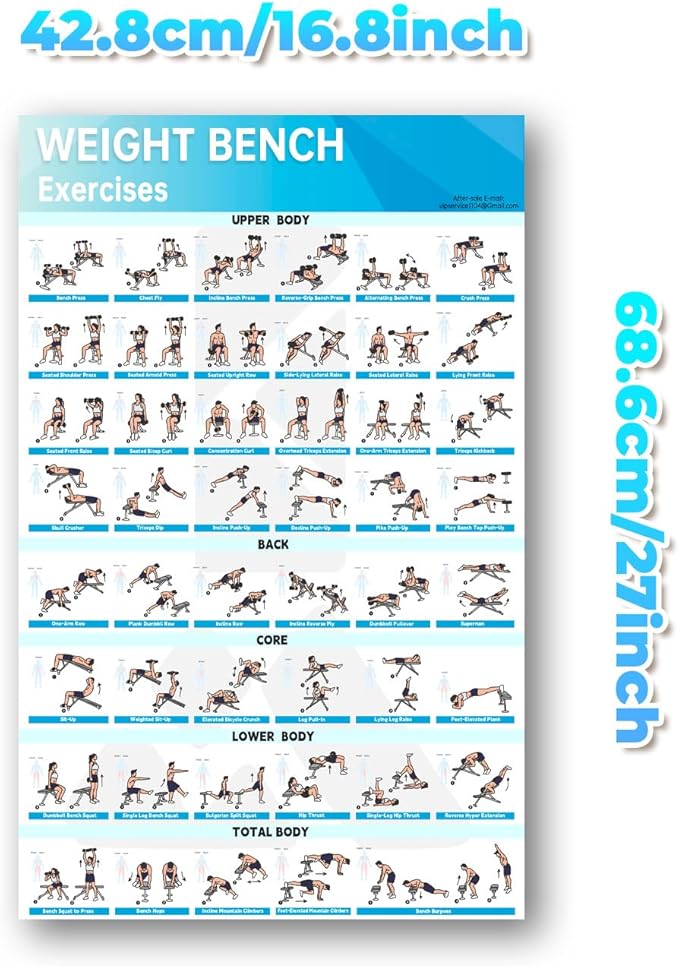 MCNBLK Dumbbell Workouts+Fitness Bench Poster Set of 2 Workout Charts(Laminated, 16.8" x 27")