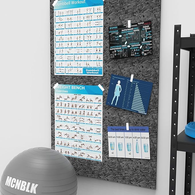 MCNBLK Dumbbell Workouts+Fitness Bench Poster Set of 2 Workout Charts(Laminated, 16.8" x 27")