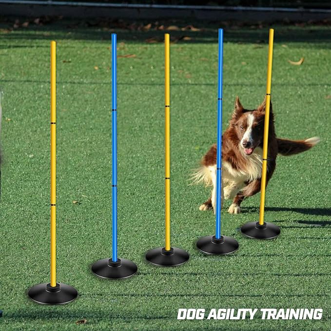 Agility Training Poles Set (Rubber Base with 3.3ft/1m 4.9ft/1.5m Poles)
