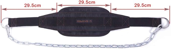 HemeraPhit Weighted Chin Up Belt with Chain Dip