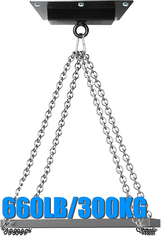 Luwint Ceiling Mount Fitness Pulley System - Heavy