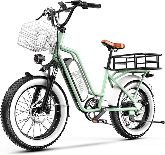 1500W Electric Bike for Adults,48V 20/60Ah Removable Battery Max Range 80Miles & 30MPH Electric Bicycle,20''×4" Fat Tire Ebike,Adult Electric Bicycles for Commute Beach Snow,E-Bike UL Certified