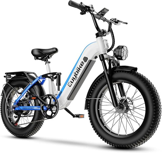 1500W Electric Bike for Adults,48V 20/60Ah Removable Battery Max Range 80Miles & 30MPH Electric Bicycle,20''×4" Fat Tire Ebike,Adult Electric Bicycles for Commute Beach Snow,E-Bike UL Certified
