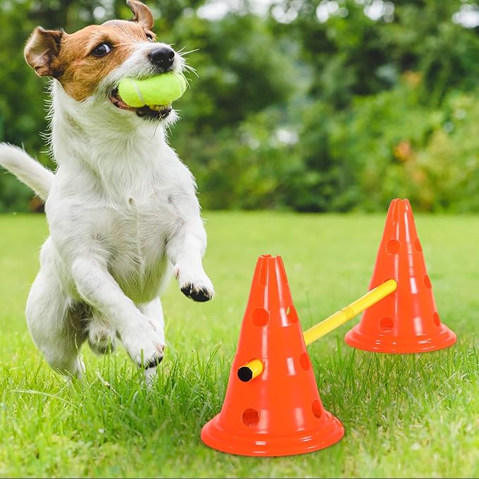 6 Sets Dog Agility Hurdle Cone Set Include 12 Agility 6 Agility
