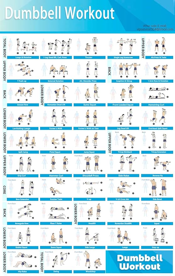 MCNBLK Dumbbell Workouts+Fitness Bench Poster Set of 2 Workout Charts(Laminated, 16.8" x 27")