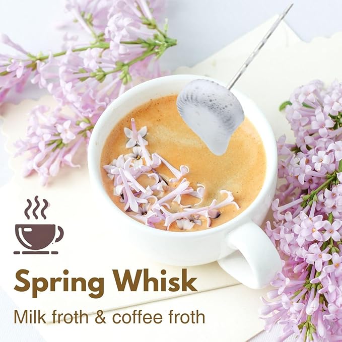 Milk Frother Handheld,3-Speed Rechargeable Coffee Foamer Drink Whisk with 3 Stainless Steel Heads Electric USB C Whisk for Coffee, Latte, Cappuccino, Hot Chocolate, Protein,Egg light Black
