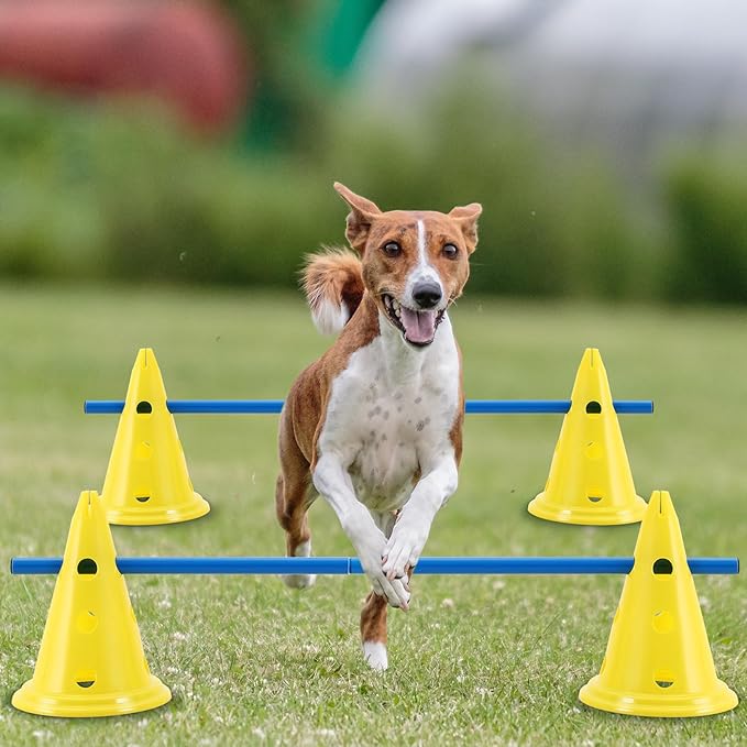 6 Sets Dog Agility Hurdle Cone Set Include 12 Agility 6 Agility