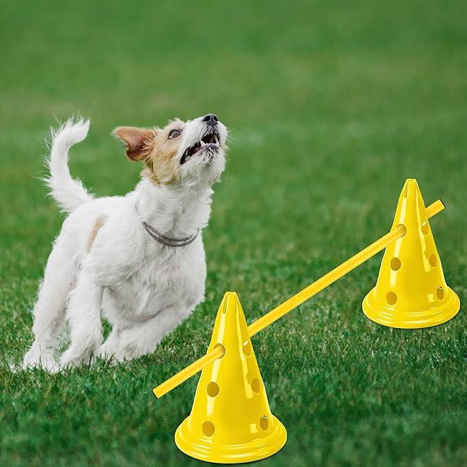 6 Sets Dog Agility Hurdle Cone Set Include 12 Agility 6 Agility