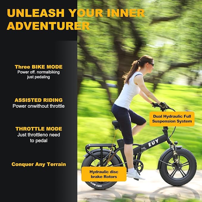 1000W Folding Electric Bike, 48V 20AH Large Removable Battery E Bike,30+MPH, 80 Miles Max Range, 20" Fat TireElectric Bike for Adults, Adult Electric Bicycles for CommuteBeach Snow