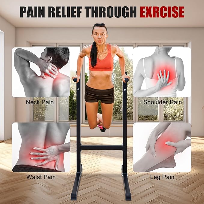 Heavy Duty Dip Bar 500 lb