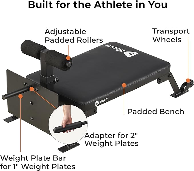Lifepro Nordic Curl Workout Bench - Home Gym 1" & 2" Olympic