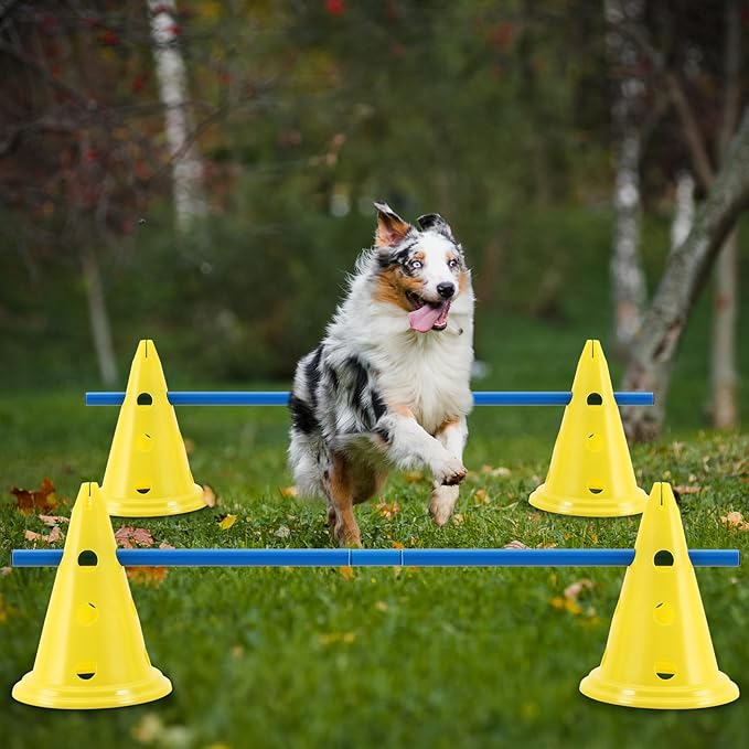 6 Sets Dog Agility Hurdle Cone Set Include 12 Agility 6 Agility