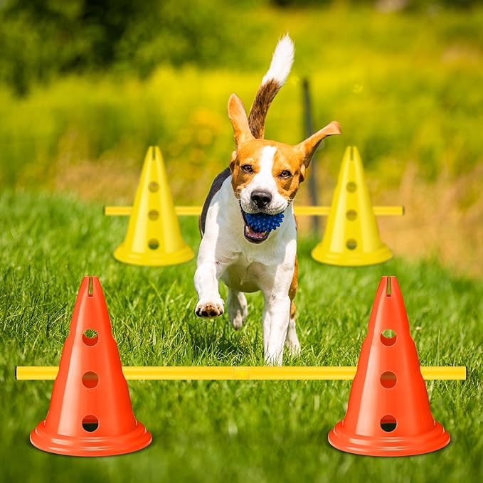6 Sets Dog Agility Hurdle Cone Set Include 12 Agility 6 Agility
