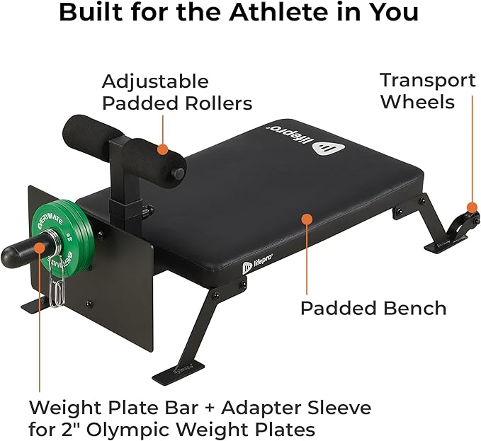 Lifepro Nordic Curl Workout Bench - Home Gym 1" & 2" Olympic