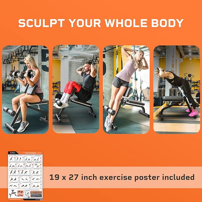 Lifepro Roman Chair Hyperextension Bench