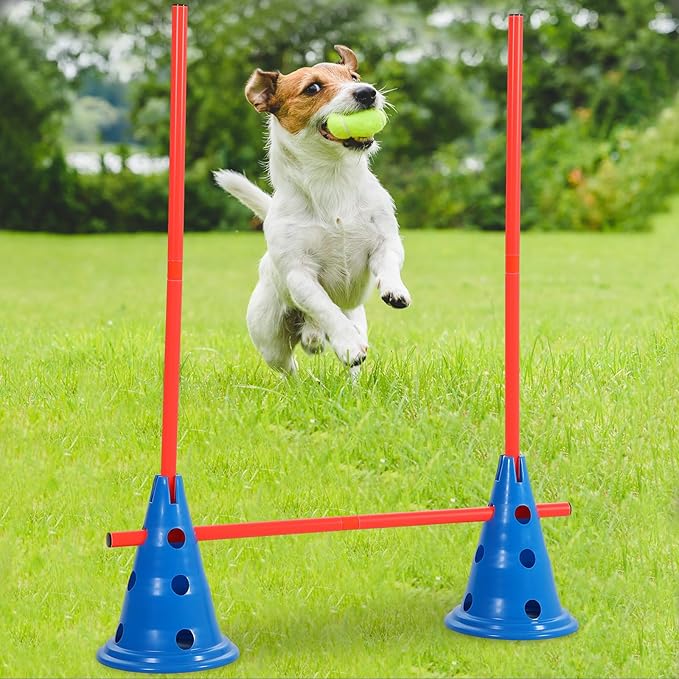 6 Sets Dog Agility Hurdle Cone Set Include 12 Agility 6 Agility