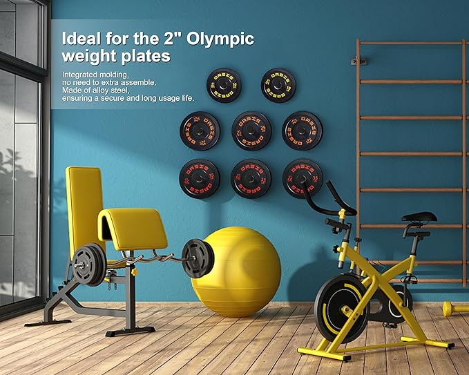 Weight Plate Holder, Wall Mounted Weight Rack Storage for 2" Olympic Weight Plate, 4 Pack Home Gym Organizer (Upgraded Larger Screws)