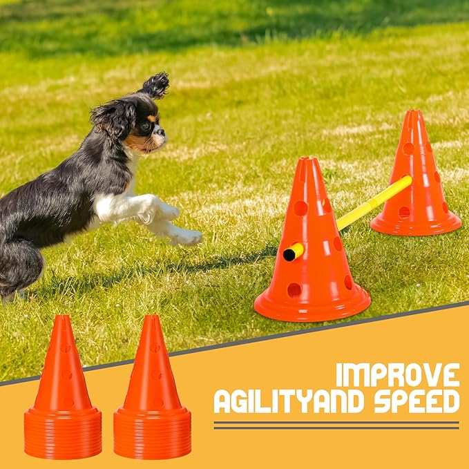 6 Sets Dog Agility Hurdle Cone Set Include 12 Agility 6 Agility