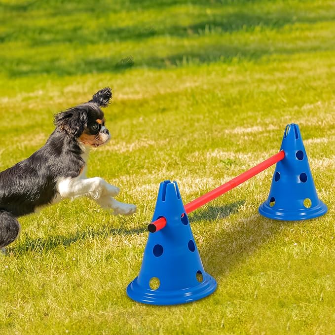 6 Sets Dog Agility Hurdle Cone Set Include 12 Agility 6 Agility