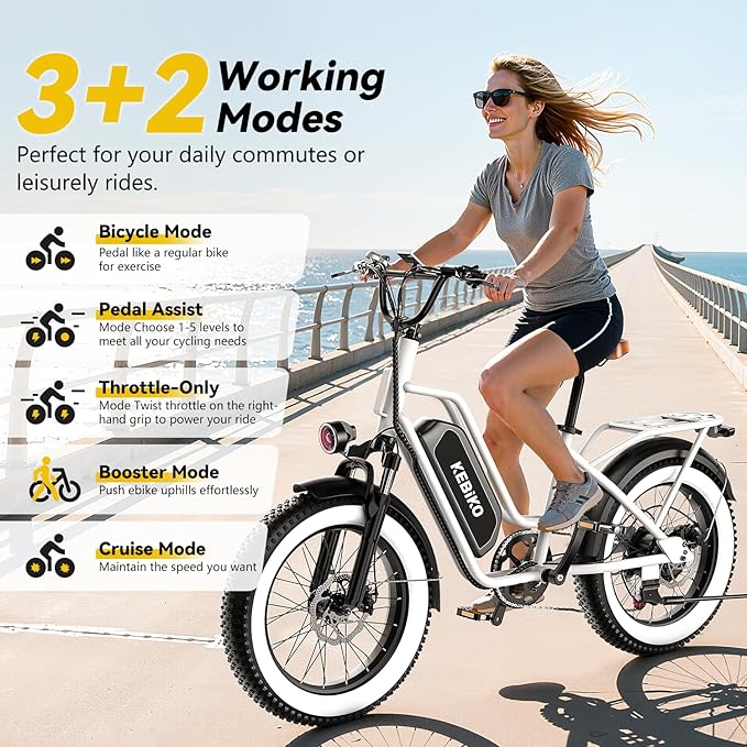 1500W Electric Bike for Adults,48V 20/60Ah Removable Battery Max Range 80Miles & 30MPH Electric Bicycle,20''×4" Fat Tire Ebike,Adult Electric Bicycles for Commute Beach Snow,E-Bike UL Certified
