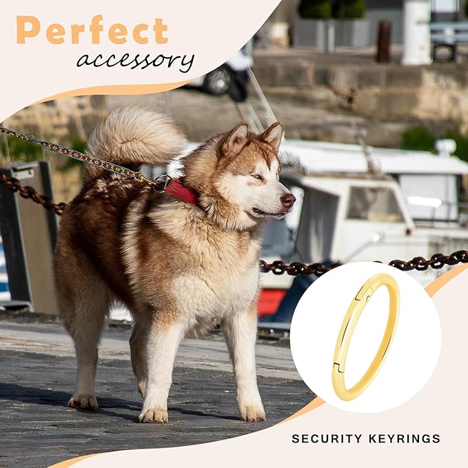 10Pack 2" Large Round Carabiner Clips, Metal Spring O Rings for Organizer Key Rings, Paracord Keychain Lanyard, Pet Chains, Purse Hardware, Key Snap Hooks DIY Accessory (Black)